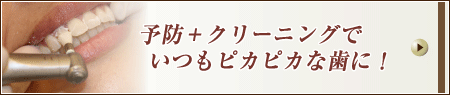 歯科全般はこちら